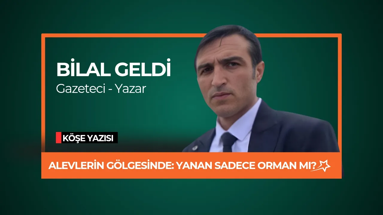 Haber: ALEVLERİN GÖLGESİNDE: YANAN SADECE ORMAN MI?
