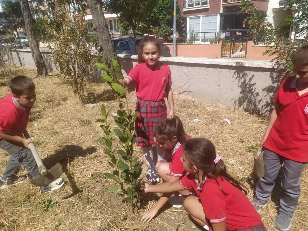 Manşet: Gelibolu’da Minik Eller Yeşil Vatan İçin Fidan Dikti